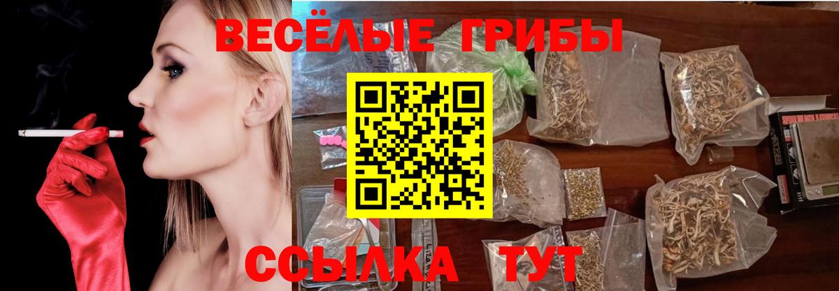 Псилоцибиновые грибы MAGIC MUSHROOMS  Галлюциногенные грибы Cubensis  Пенза  Вход с VPN 